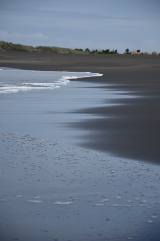 2017-03 New Zealand/Auckland Centenial Park/DSC_0083.JPG